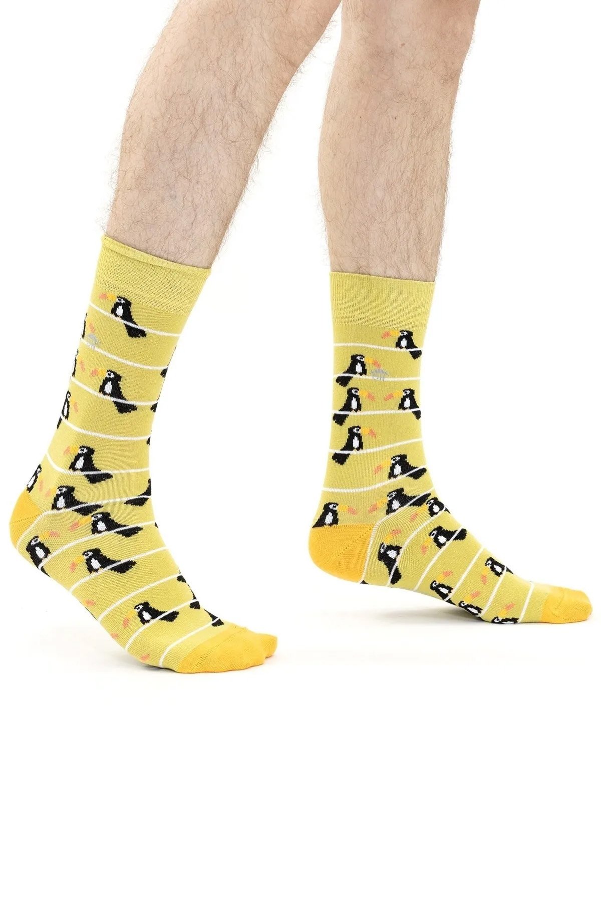 Erkek Tukan Kuş Desenli Çorap