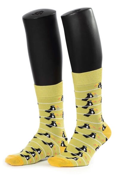 Erkek Tukan Kuş Desenli Çorap