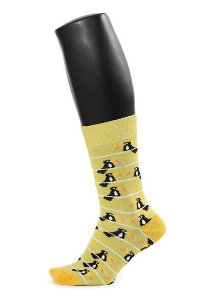 Erkek Tukan Kuş Desenli Çorap