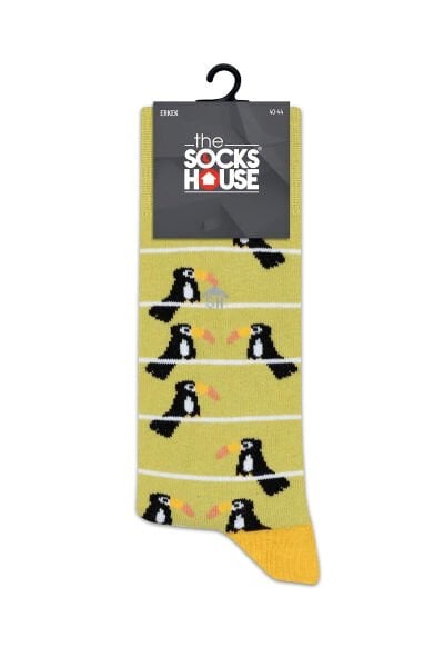 Erkek Tukan Kuş Desenli Çorap