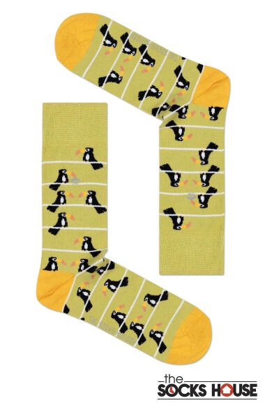 Erkek Tukan Kuş Desenli Çorap